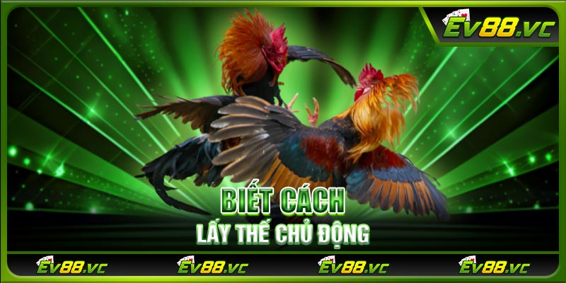Biết cách lấy thế chủ động
