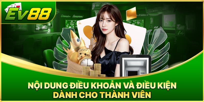 Nội dung điều khoản và điều kiện dành cho thành viên